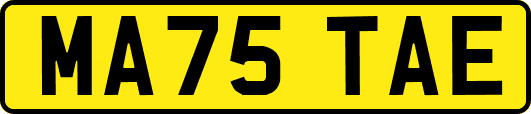 MA75TAE