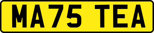 MA75TEA