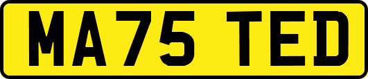MA75TED