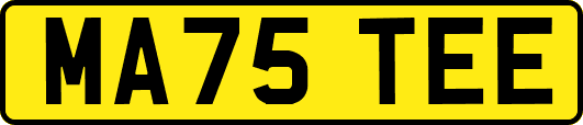 MA75TEE