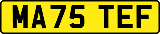 MA75TEF