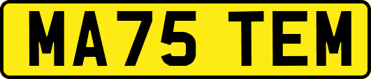 MA75TEM