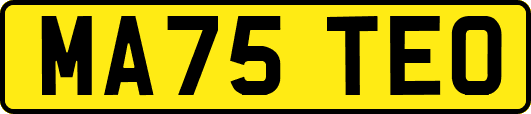 MA75TEO