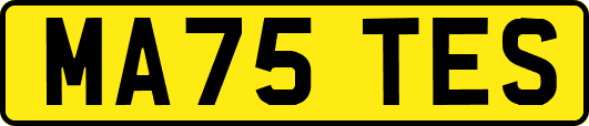 MA75TES