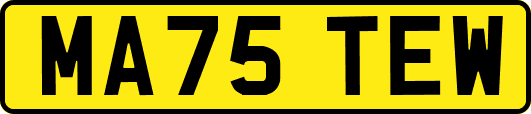 MA75TEW