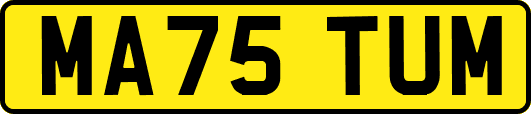 MA75TUM