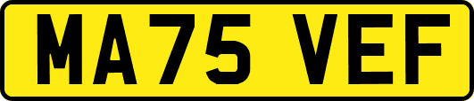 MA75VEF