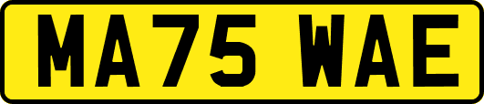 MA75WAE