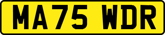 MA75WDR