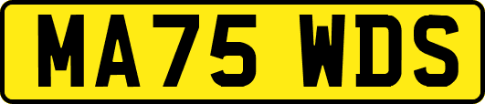 MA75WDS