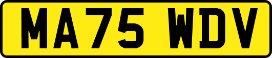 MA75WDV