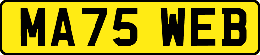 MA75WEB
