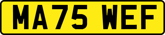 MA75WEF