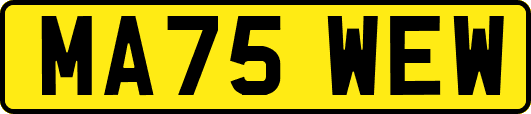 MA75WEW