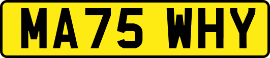 MA75WHY