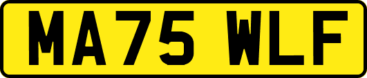 MA75WLF