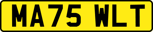MA75WLT