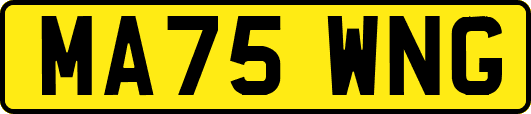 MA75WNG