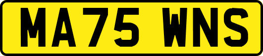 MA75WNS