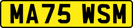 MA75WSM