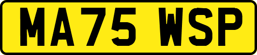 MA75WSP