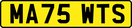 MA75WTS