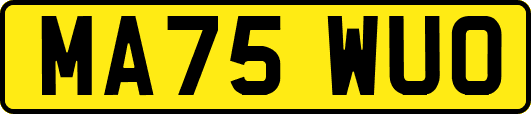 MA75WUO