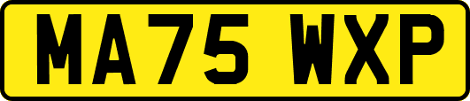 MA75WXP