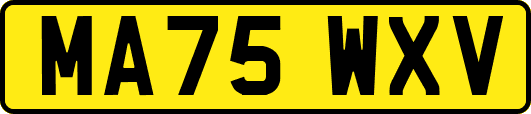 MA75WXV