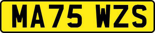 MA75WZS