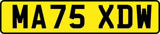 MA75XDW