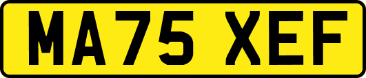 MA75XEF