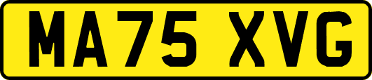 MA75XVG