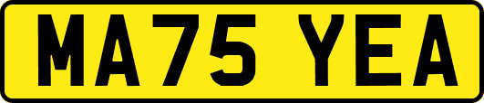 MA75YEA