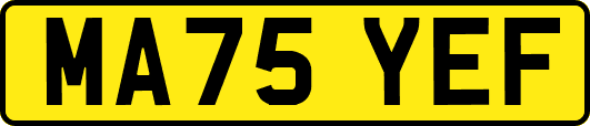 MA75YEF
