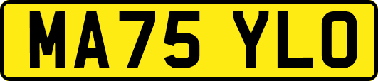 MA75YLO