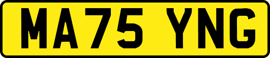 MA75YNG