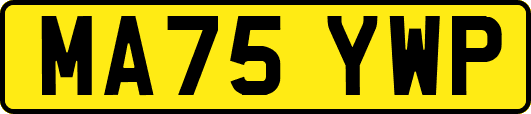 MA75YWP