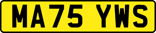 MA75YWS