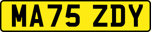 MA75ZDY