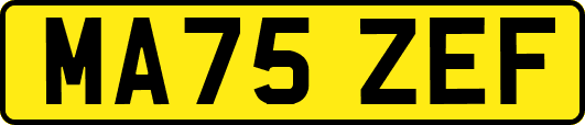 MA75ZEF