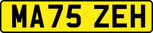 MA75ZEH