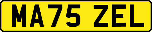 MA75ZEL