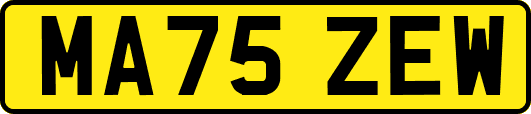 MA75ZEW