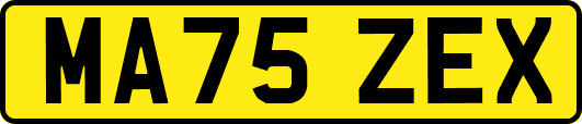 MA75ZEX