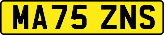 MA75ZNS