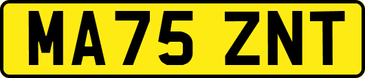 MA75ZNT
