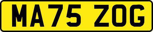MA75ZOG