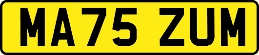 MA75ZUM