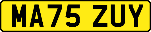 MA75ZUY